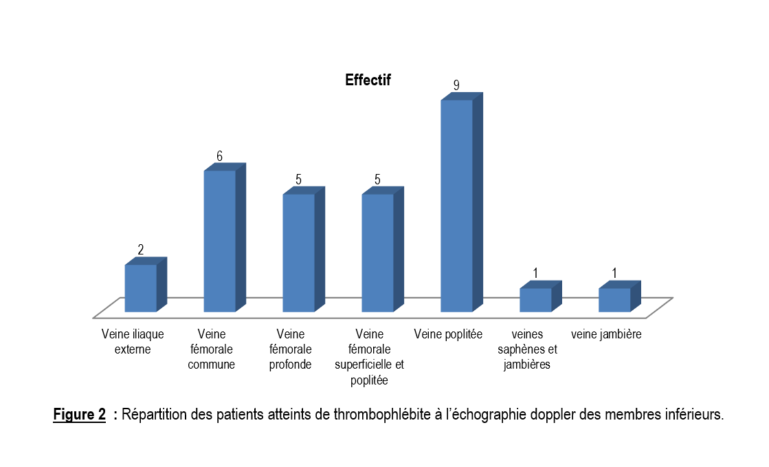 thrombose2